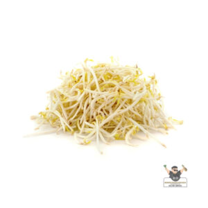 Bean Sprout
