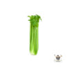 Celery Stalk