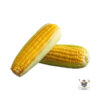 Corn