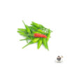 green chilli padi 2