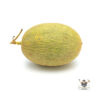 hami melon