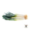 Northern Leek