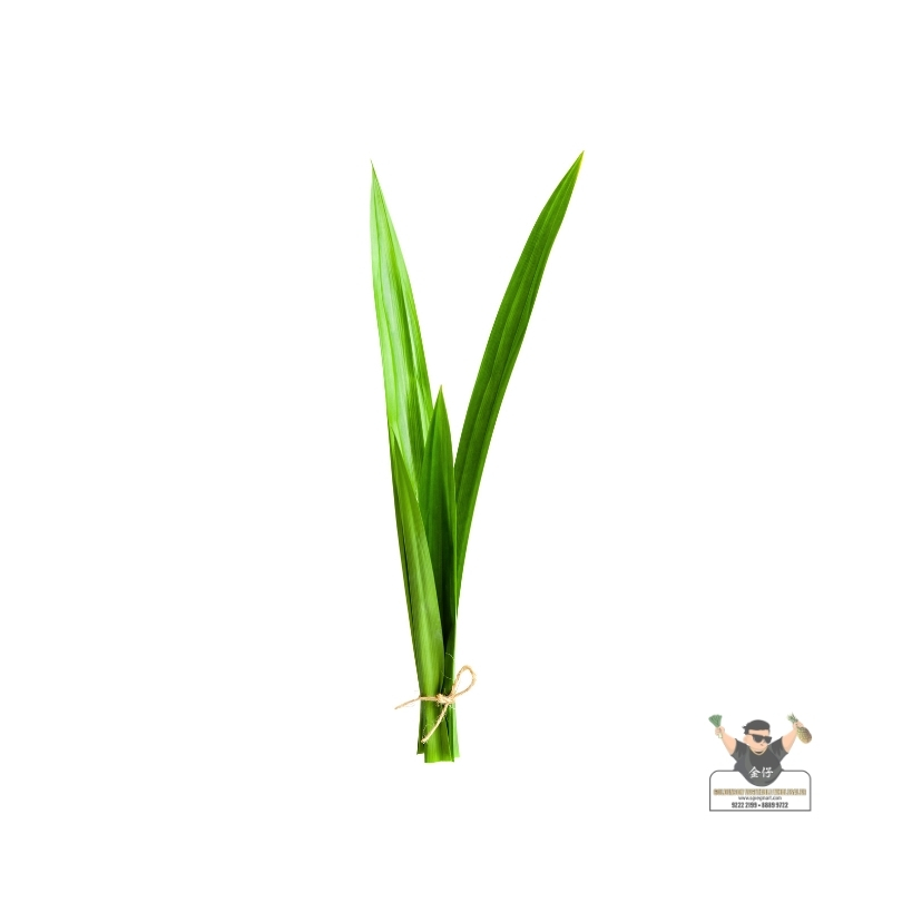 Pandan Leaf Pandan Leaf