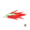 Red Chilli