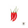 Red Chilli Padi
