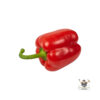 Red Pepper