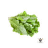 Romaine Lettuce