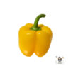 Yellow Pepper