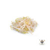Bean Sprout Silver