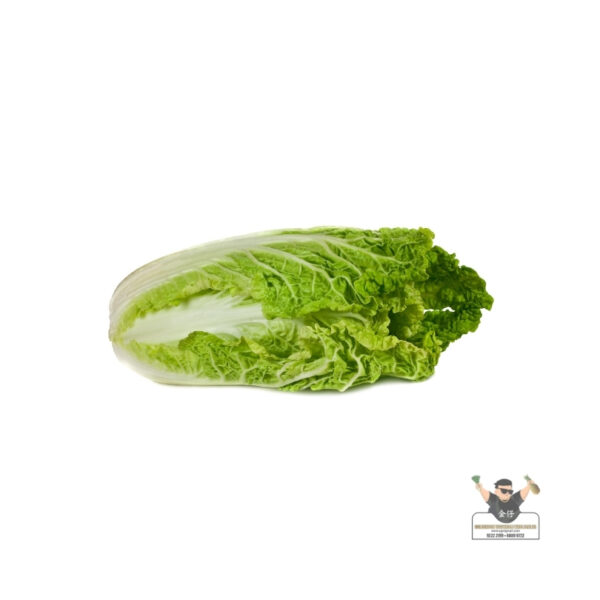 Beijing Cabbage