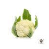 Cauliflower