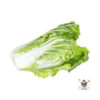 Long Cabbage